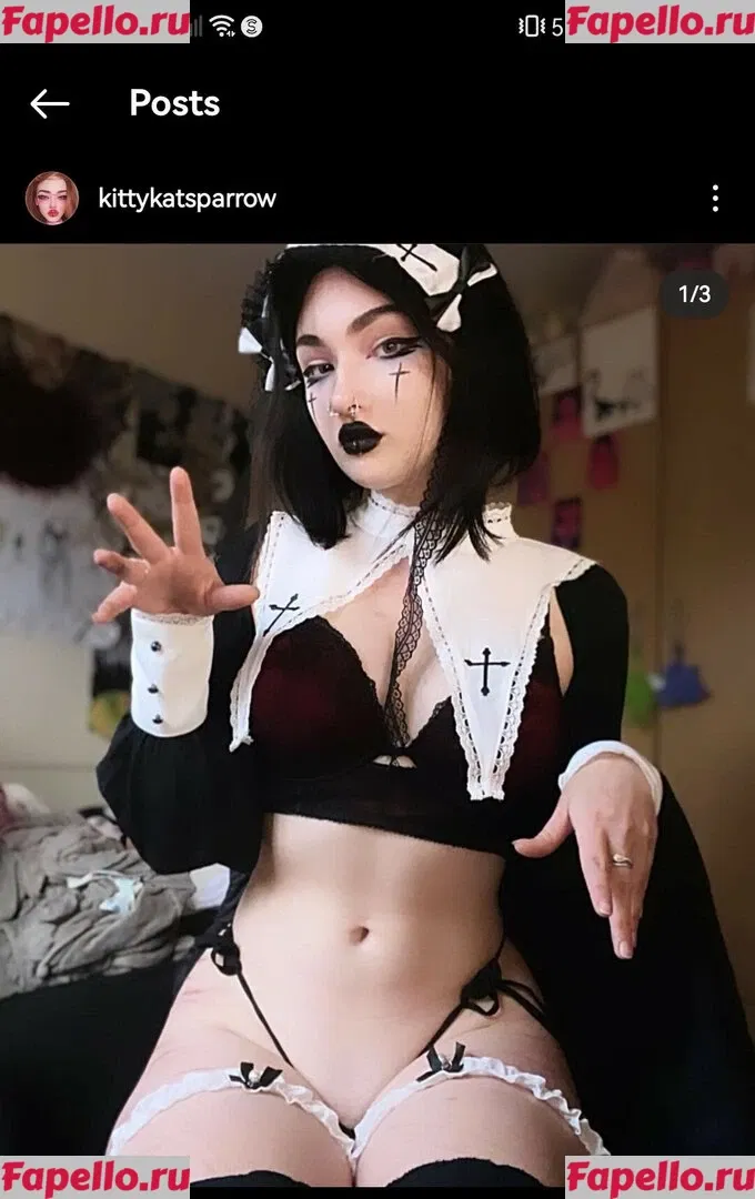 KittyKatSparrow Onlyfans Photo Gallery 