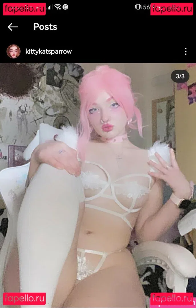 KittyKatSparrow Onlyfans Photo Gallery 