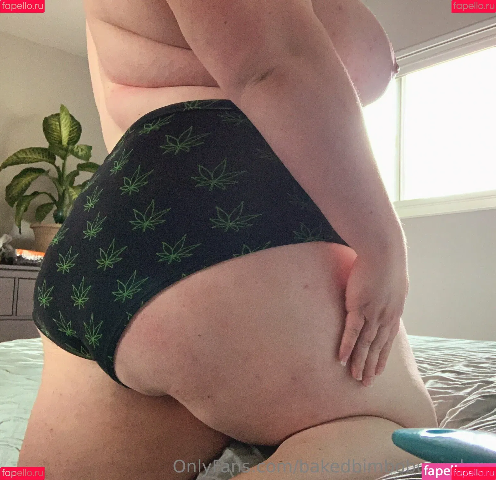 bakedbimbobunnybun Onlyfans Photo Gallery 