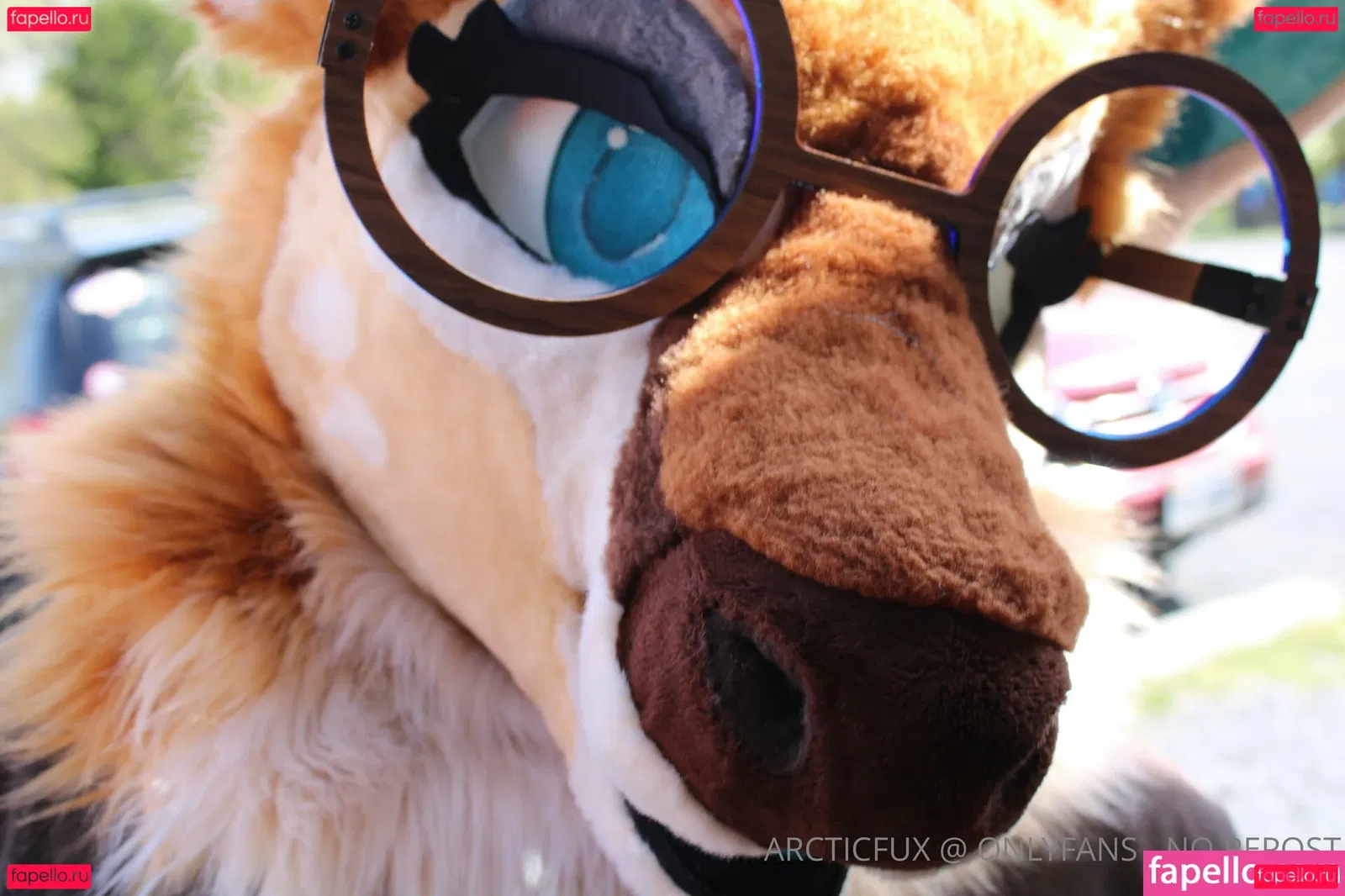 arcticfux Onlyfans Photo Gallery 