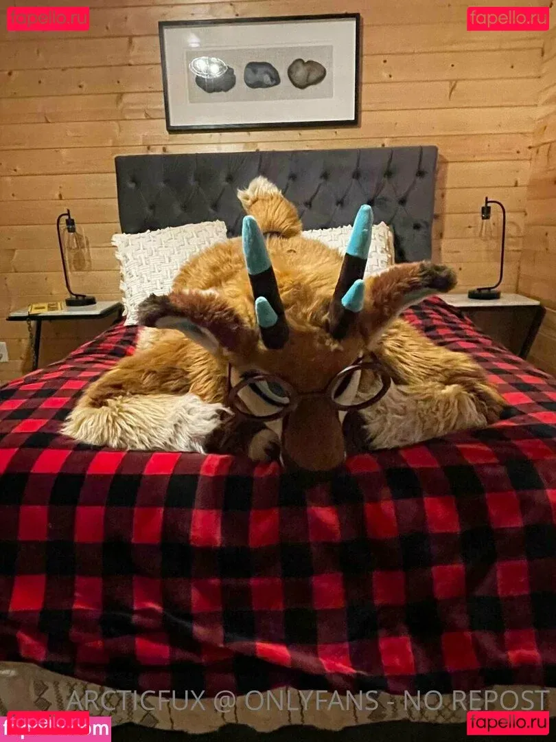 arcticfux Onlyfans Photo Gallery 