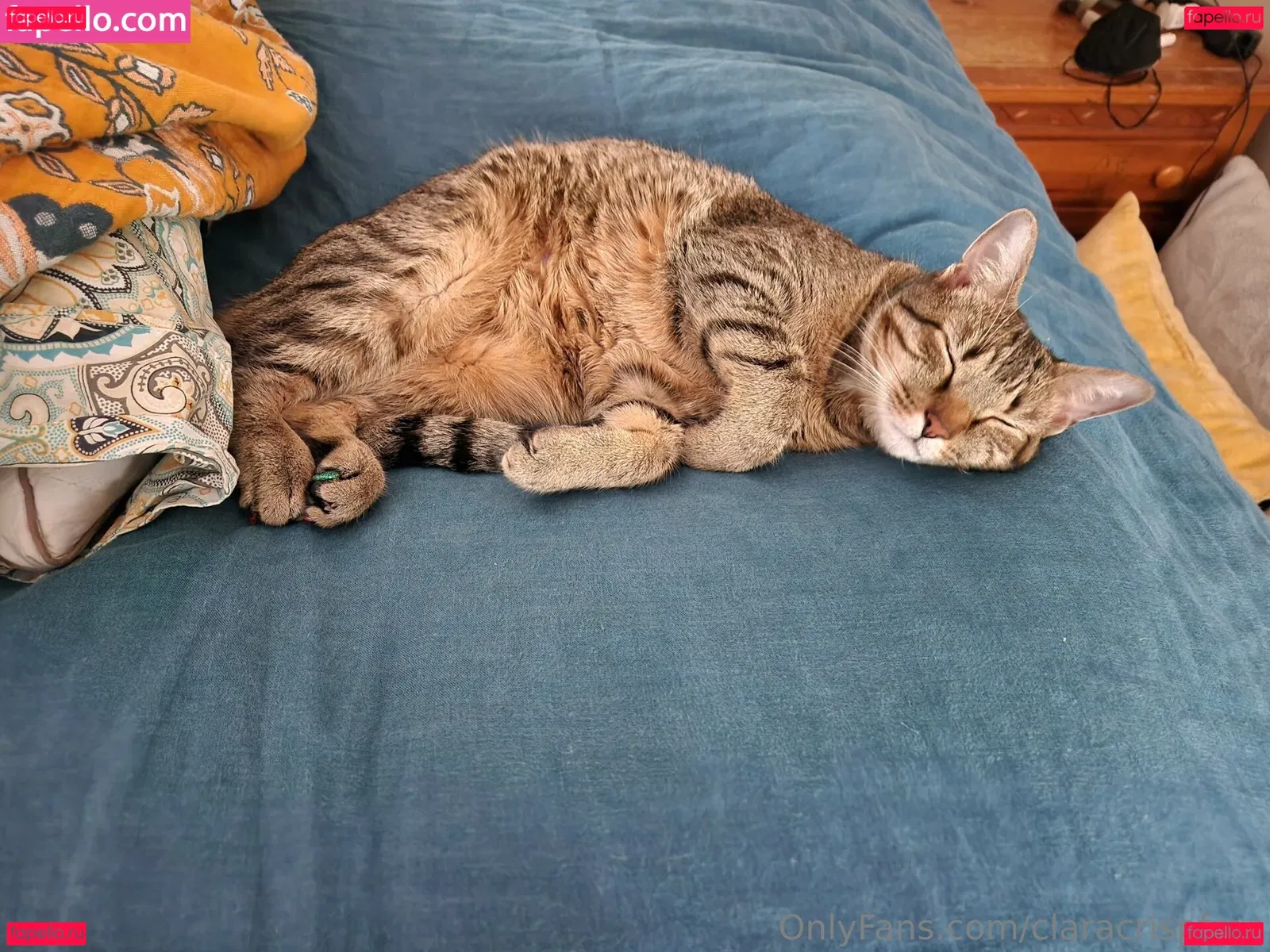 claracrispfree Onlyfans Photo Gallery 