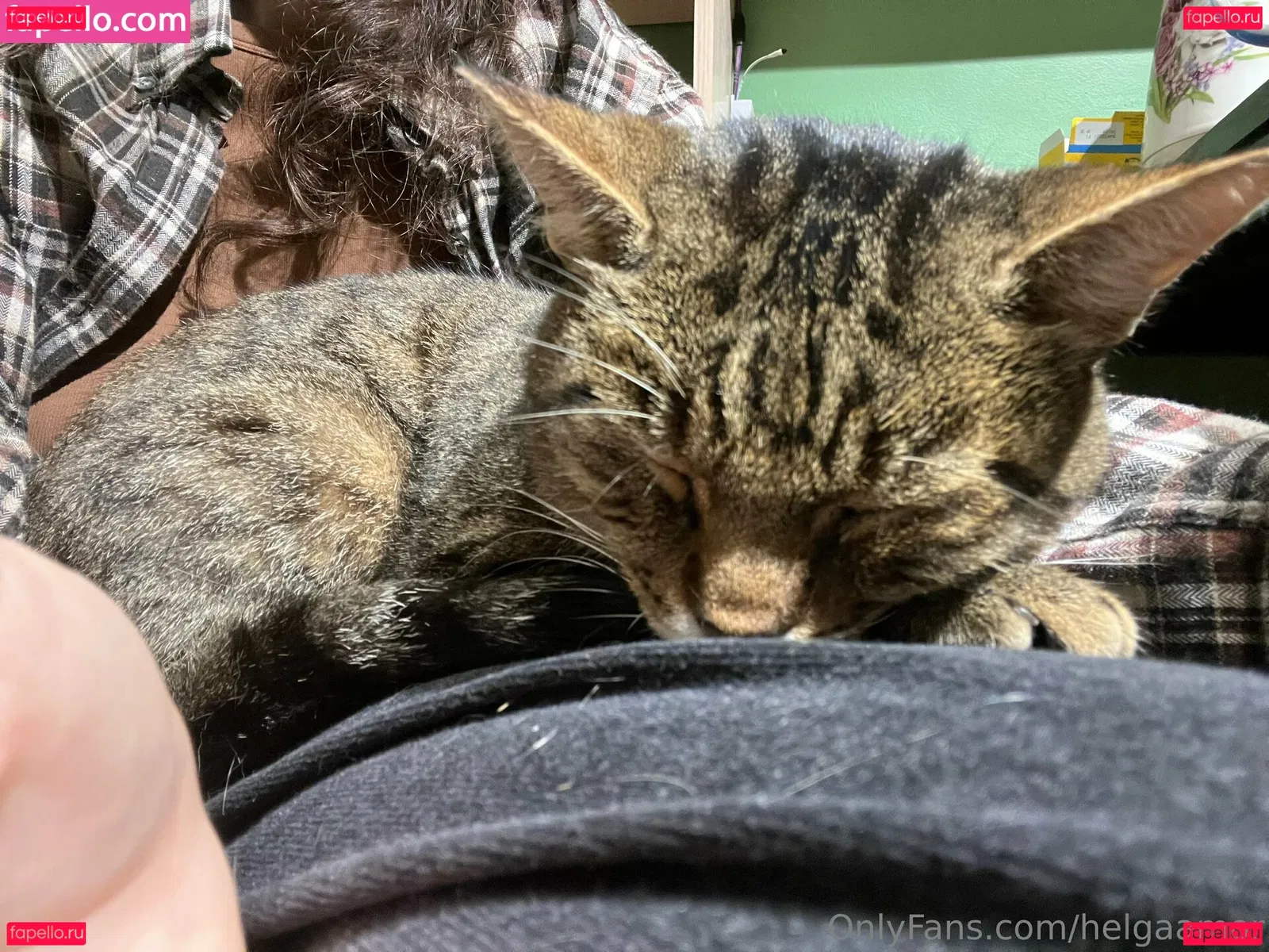 helgaamor Onlyfans Photo Gallery 