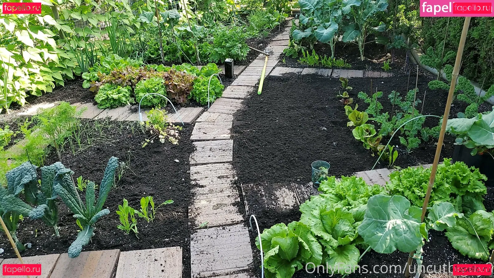 best_lu Onlyfans Photo Gallery 