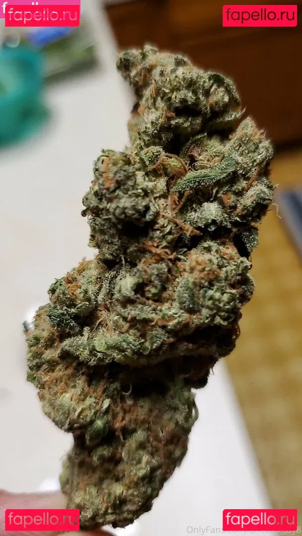 best_lu Onlyfans Photo Gallery 