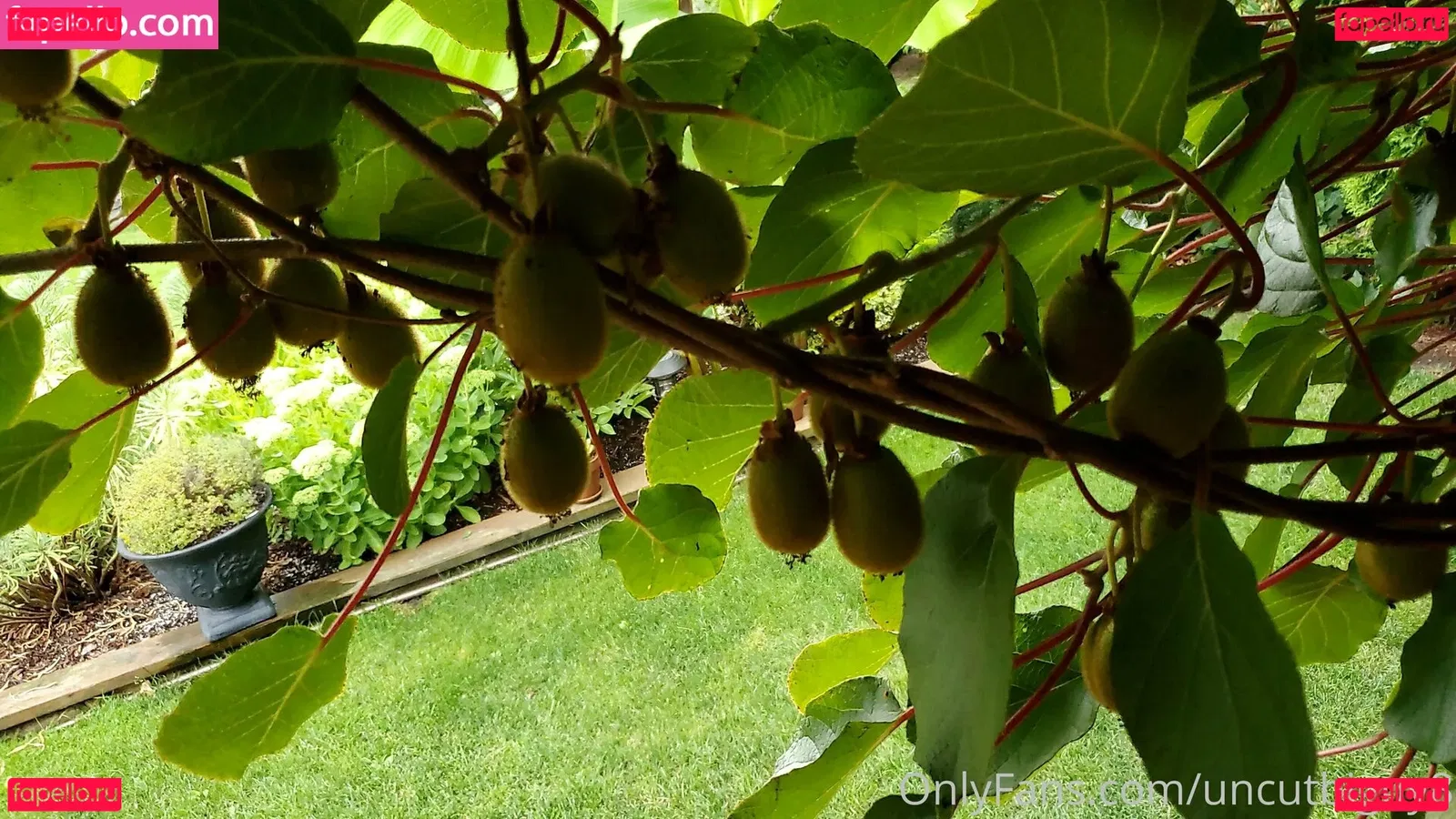 best_lu Onlyfans Photo Gallery 