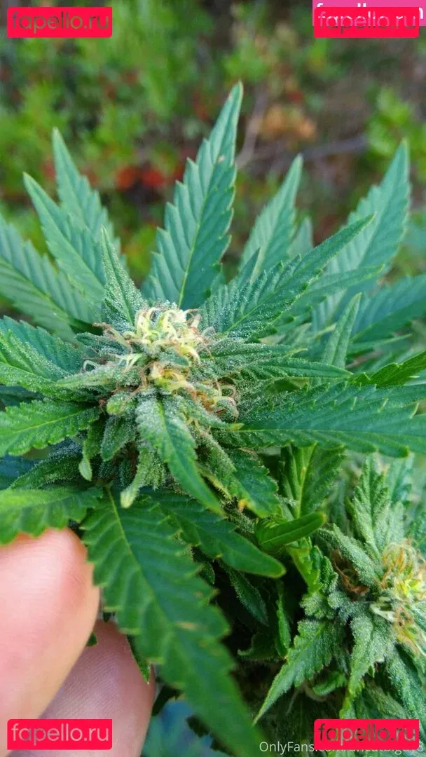 best_lu Onlyfans Photo Gallery 