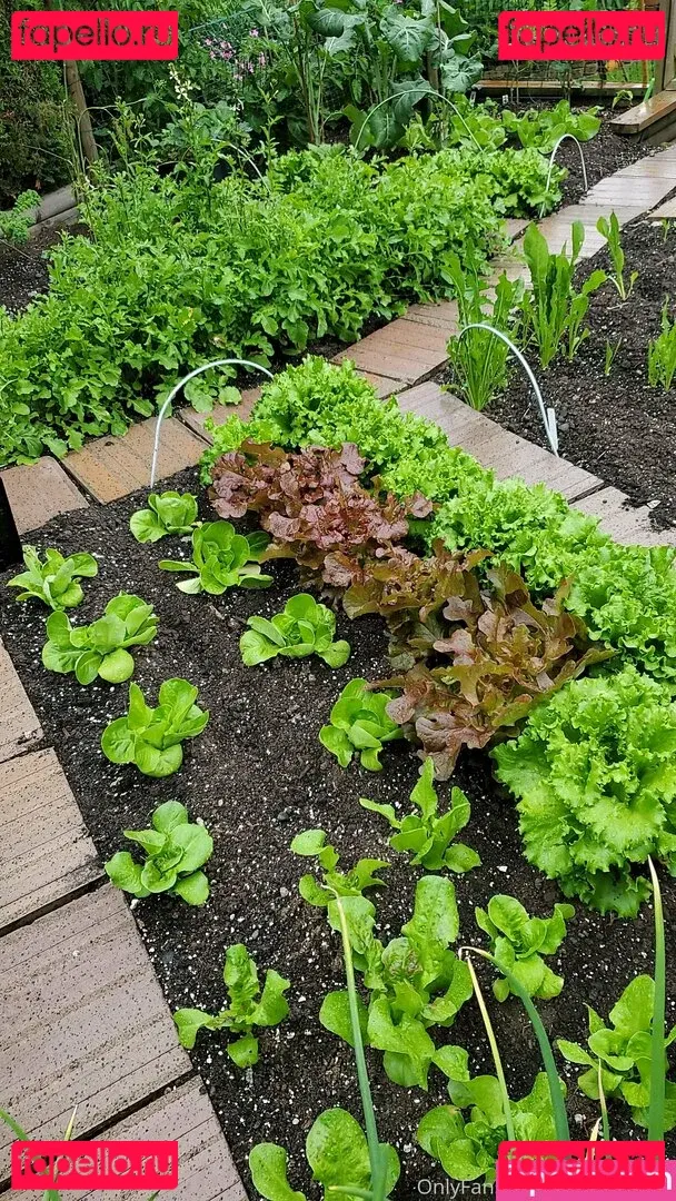 best_lu Onlyfans Photo Gallery 