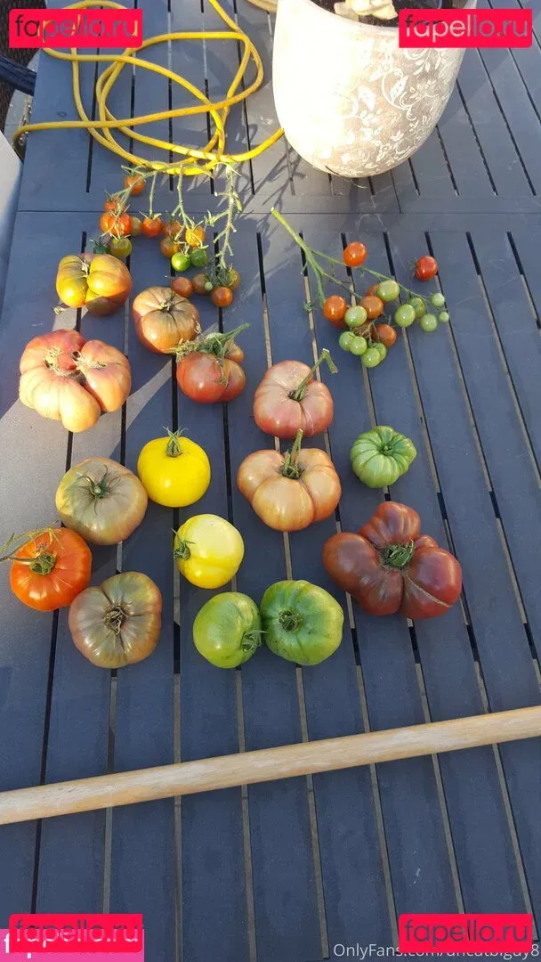 best_lu Onlyfans Photo Gallery 