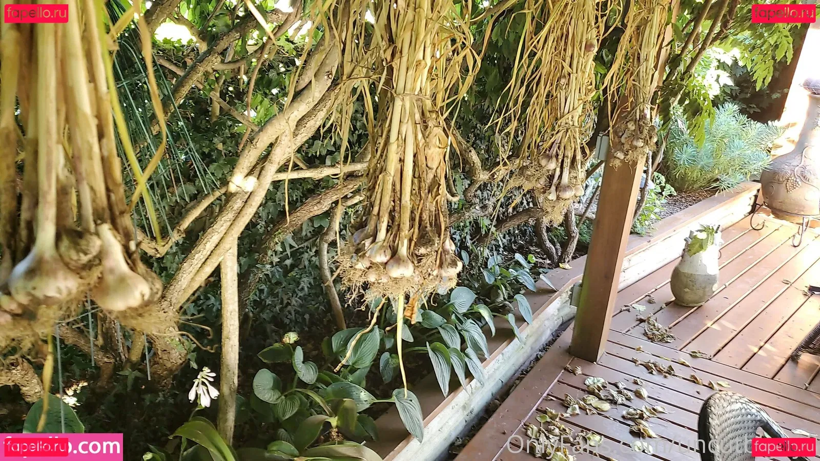 best_lu Onlyfans Photo Gallery 