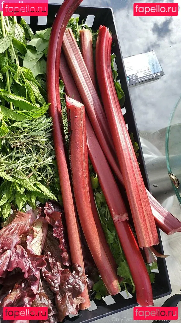 best_lu Onlyfans Photo Gallery 