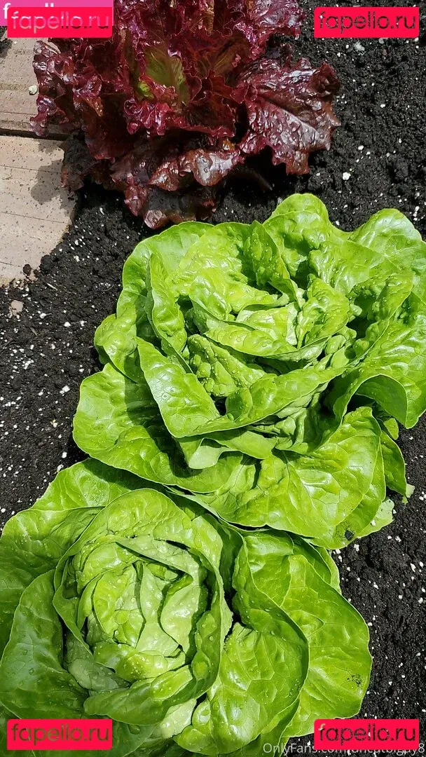 best_lu Onlyfans Photo Gallery 