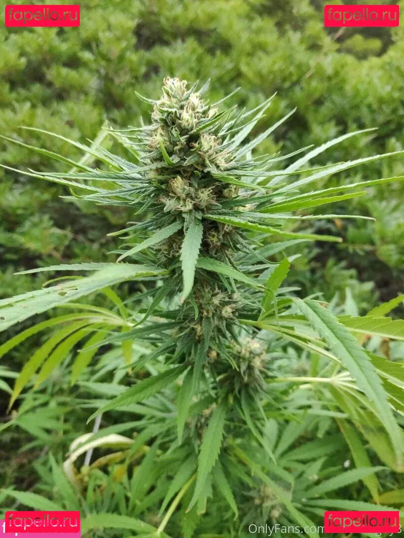 best_lu Onlyfans Photo Gallery 