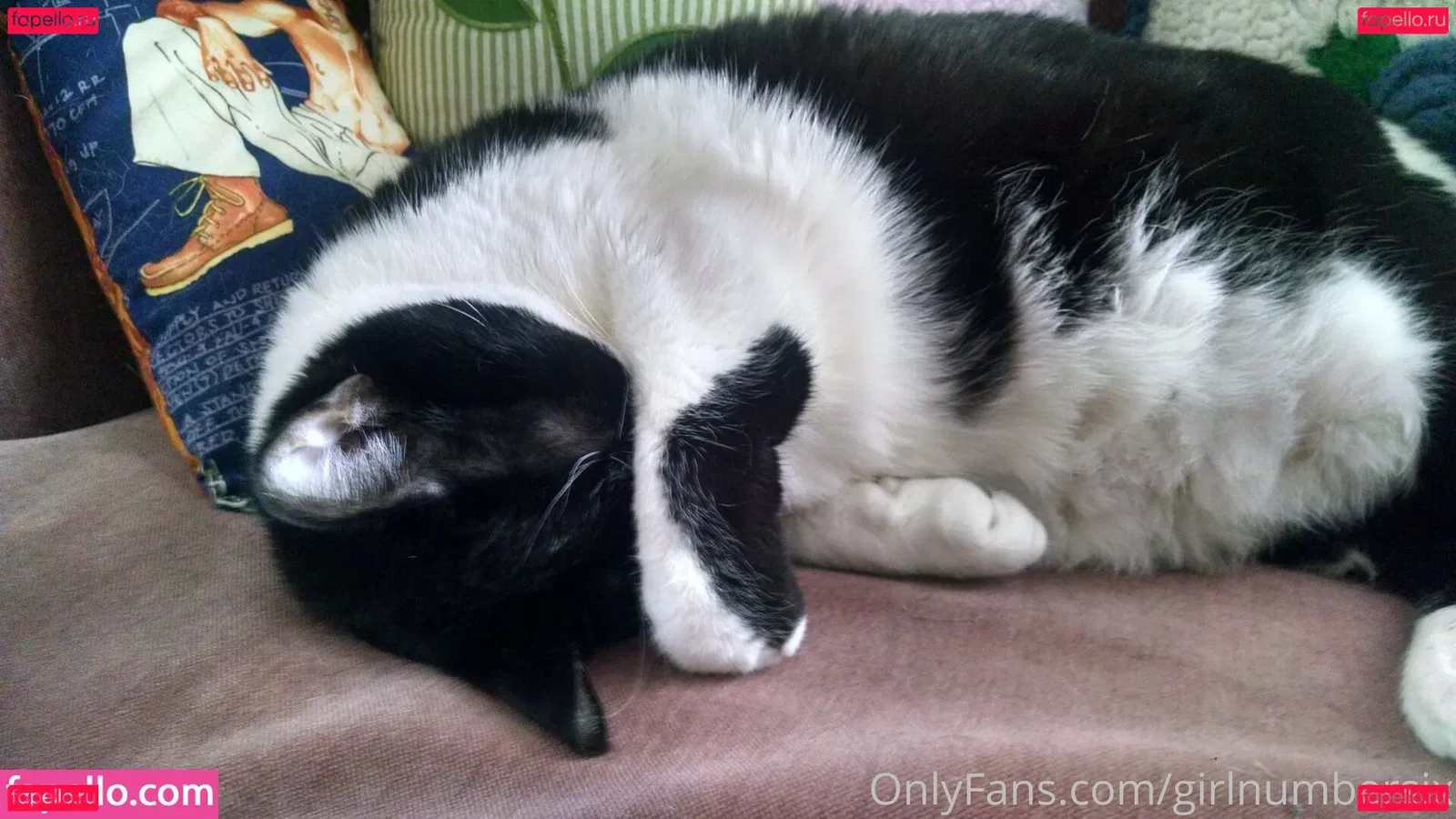 girlnumbersix Onlyfans Photo Gallery 