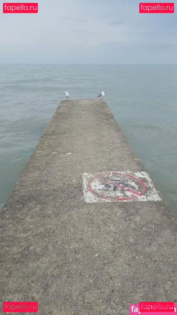 girlnumbersix Onlyfans Photo Gallery 