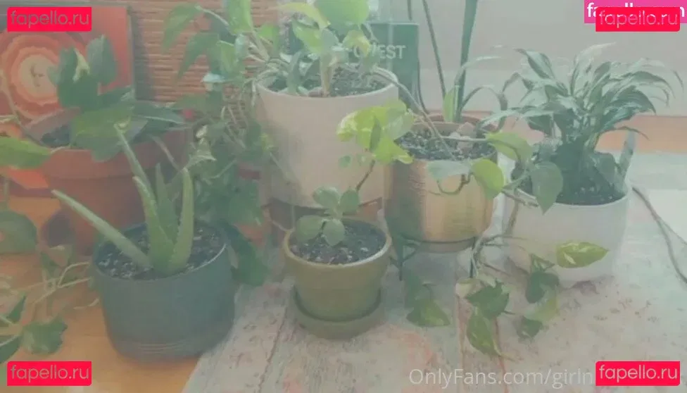 girlnumbersix Onlyfans Photo Gallery 