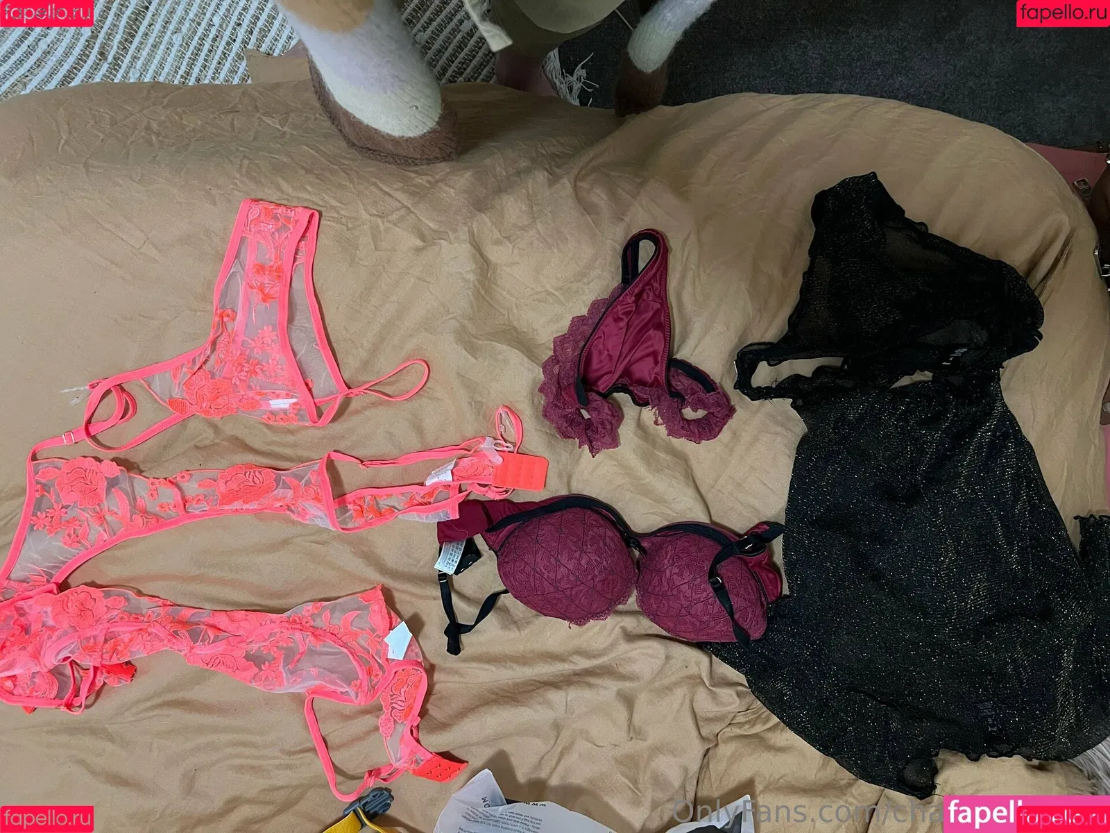 charlsfordevip Onlyfans Photo Gallery 