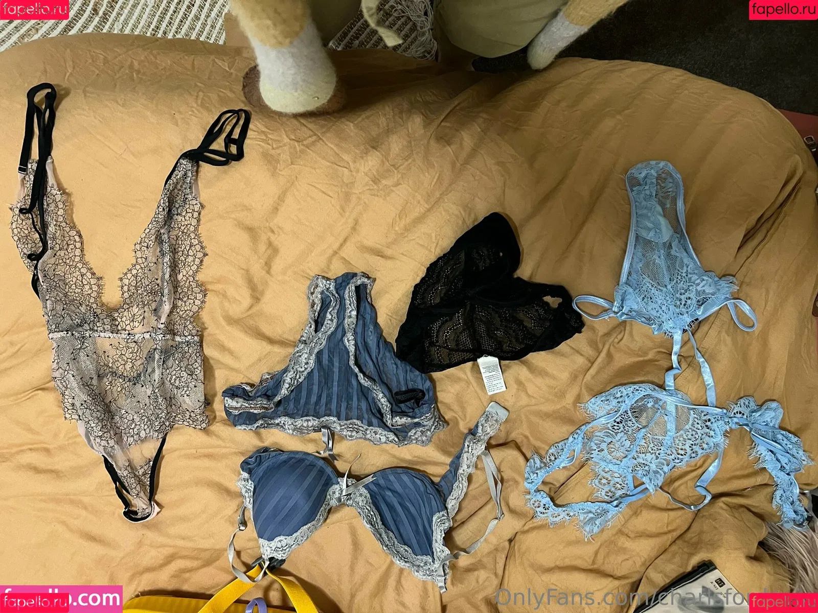 charlsfordevip Onlyfans Photo Gallery 