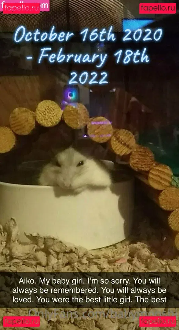 babymooshi Onlyfans Photo Gallery 