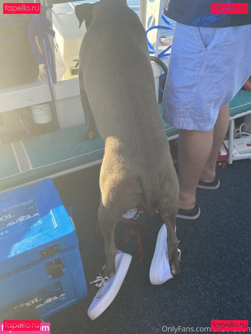 harleysophietomahawk Onlyfans Photo Gallery 