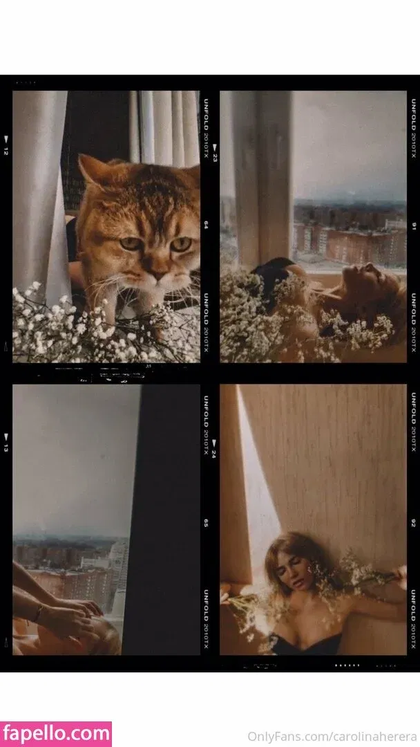 carolinaherera Onlyfans Photo Gallery 