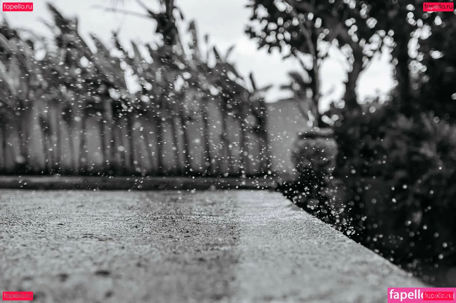 Ekatarina Zueva Onlyfans Photo Gallery 