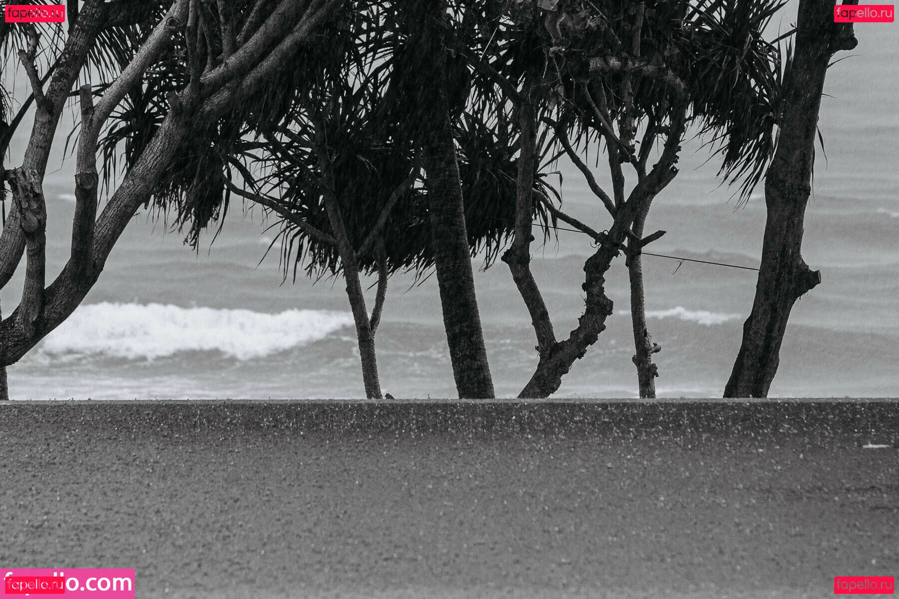 Ekatarina Zueva Onlyfans Photo Gallery 