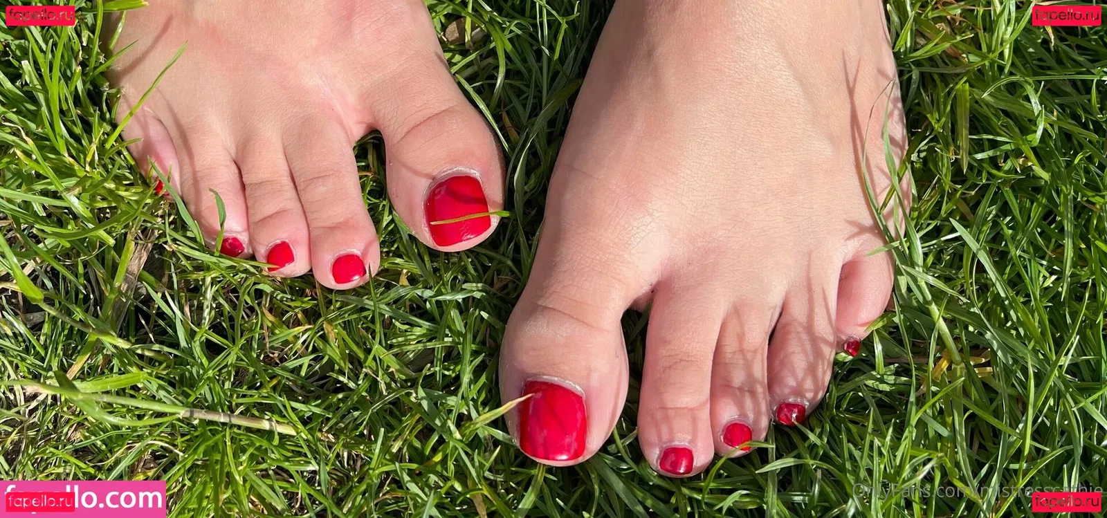 mistresscathie Onlyfans Photo Gallery 