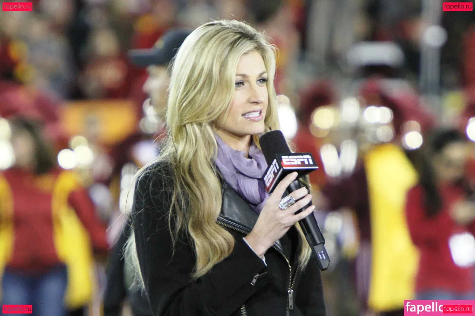 Erin Andrews Onlyfans Photo Gallery 