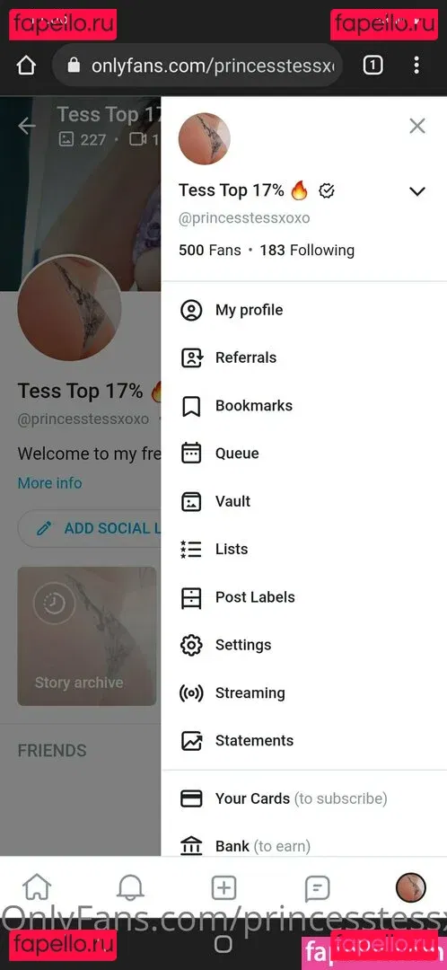 princesstessxoxo Onlyfans Photo Gallery 