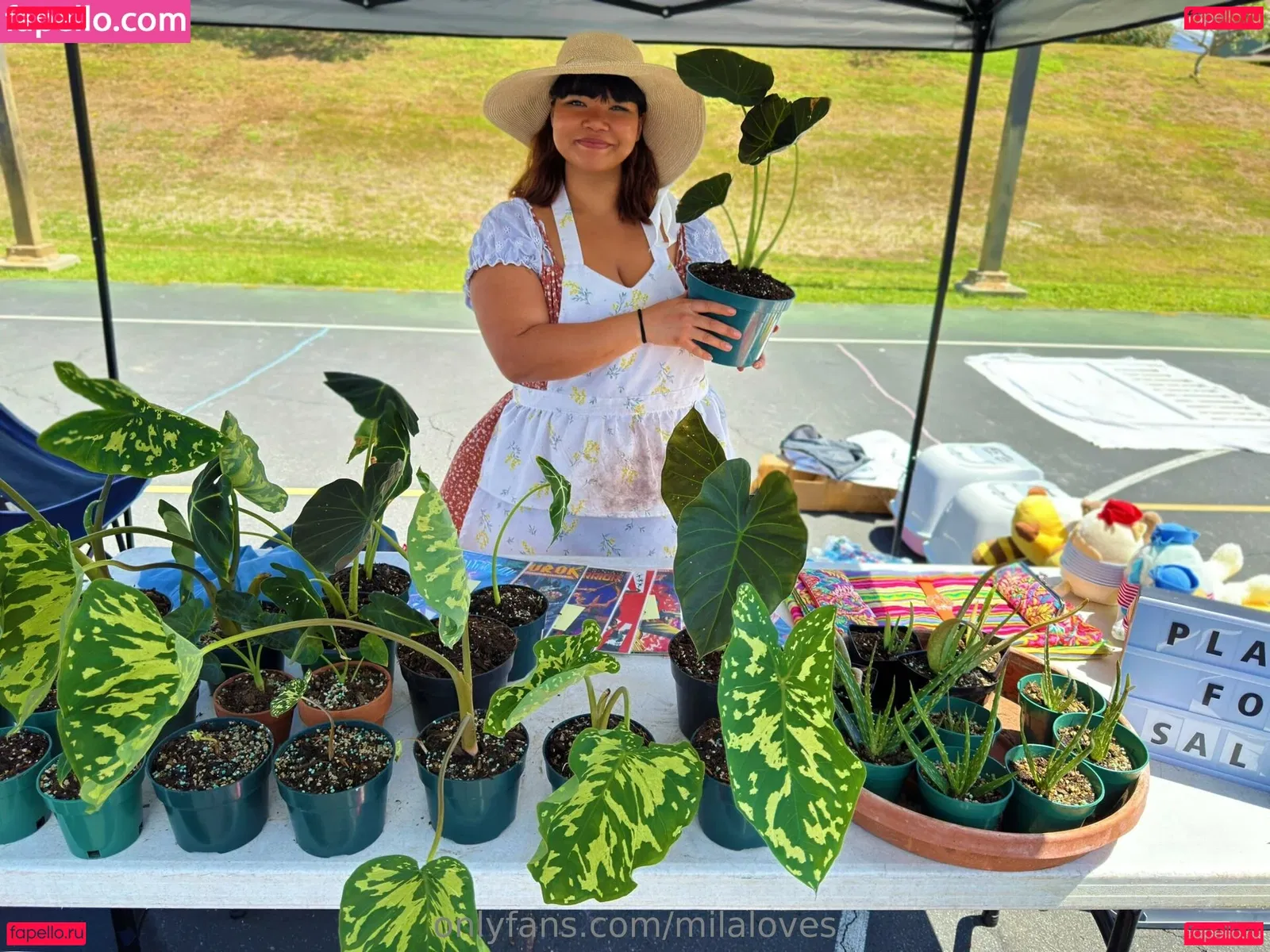 milaloves Onlyfans Photo Gallery 