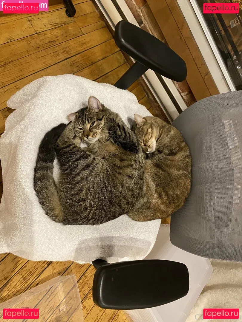 clara_dee Onlyfans Photo Gallery 