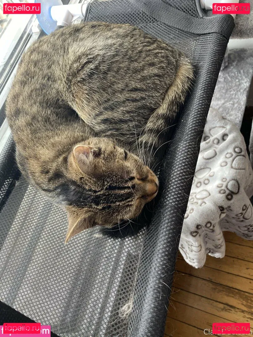 clara_dee Onlyfans Photo Gallery 