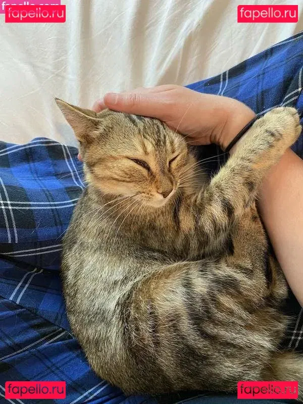 clara_dee Onlyfans Photo Gallery 