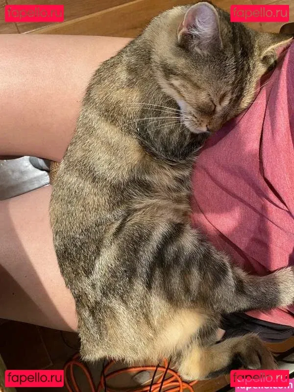 clara_dee Onlyfans Photo Gallery 