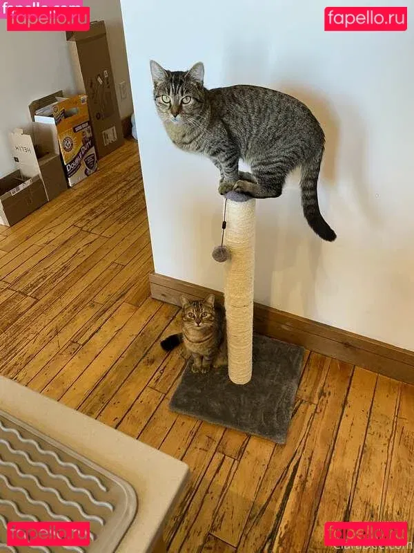 clara_dee Onlyfans Photo Gallery 