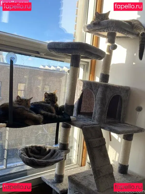 clara_dee Onlyfans Photo Gallery 