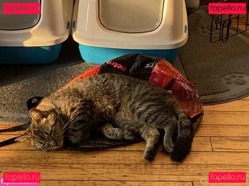 clara_dee Onlyfans Photo Gallery 