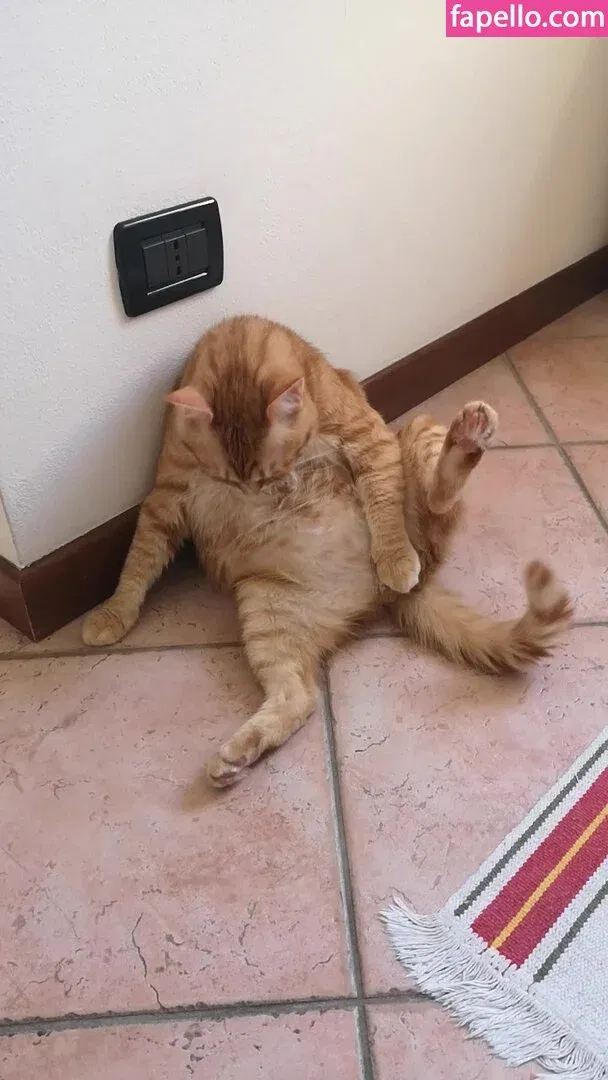 Autumn Falls Onlyfans Photo Gallery 