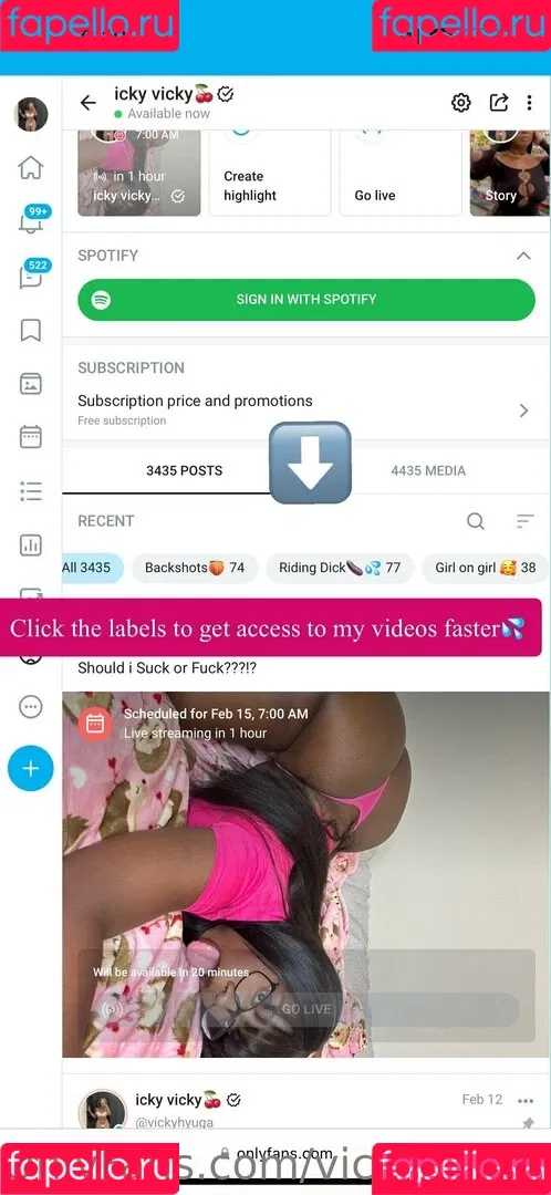 vickyhyuga Onlyfans Photo Gallery 