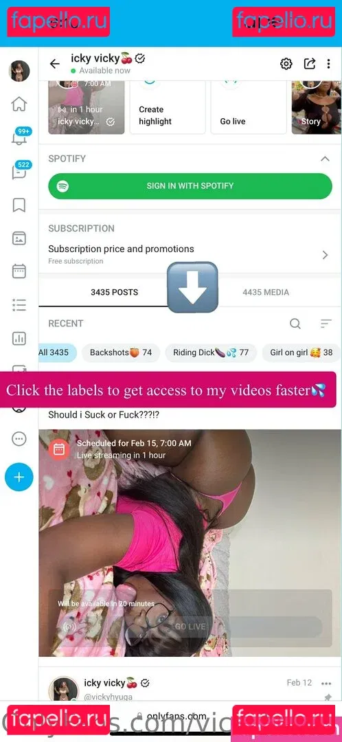 vickyhyuga Onlyfans Photo Gallery 