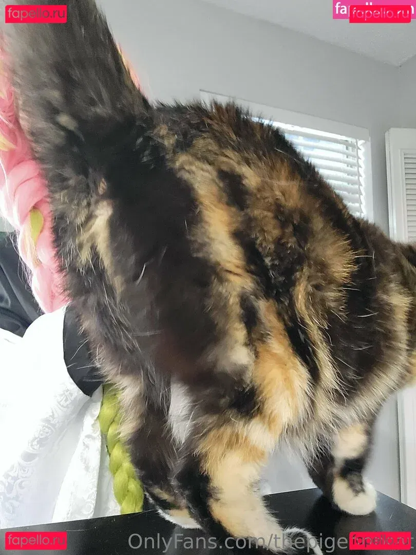 thepigeonbrat Onlyfans Photo Gallery 