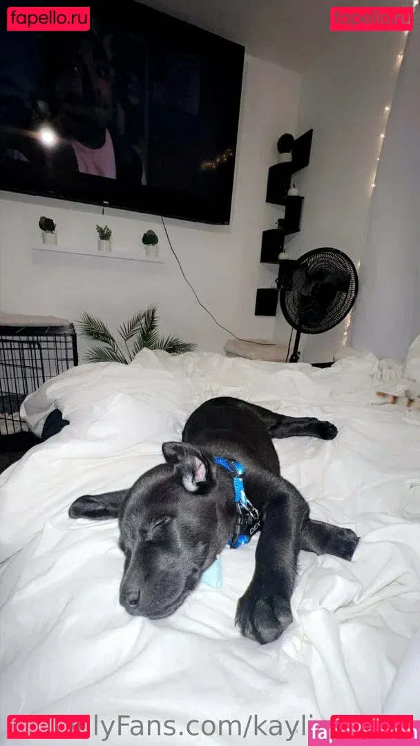 kaylinwrenn Onlyfans Photo Gallery 