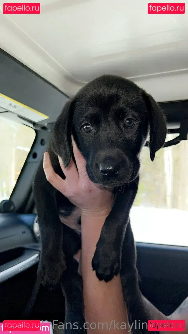 kaylinwrenn Onlyfans Photo Gallery 