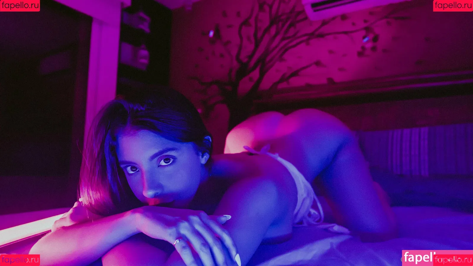 camilevalencia Onlyfans Photo Gallery 