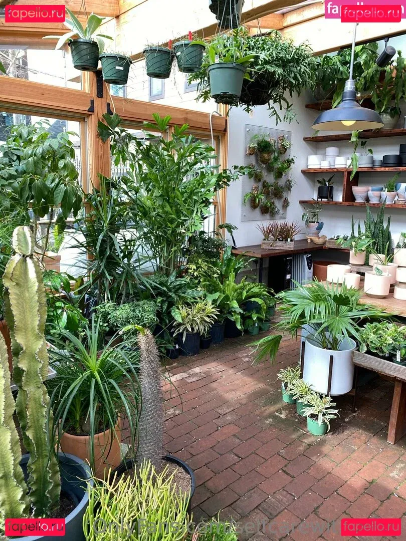 selfcarewithchloe Onlyfans Photo Gallery 