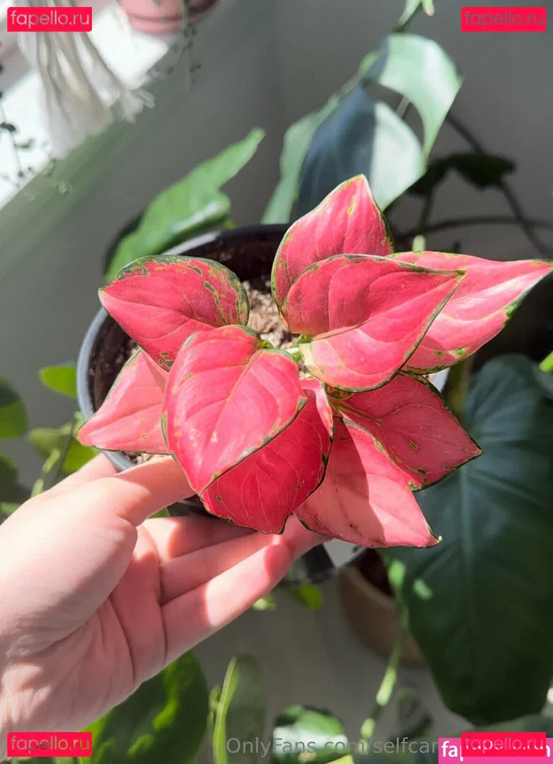 selfcarewithchloe Onlyfans Photo Gallery 