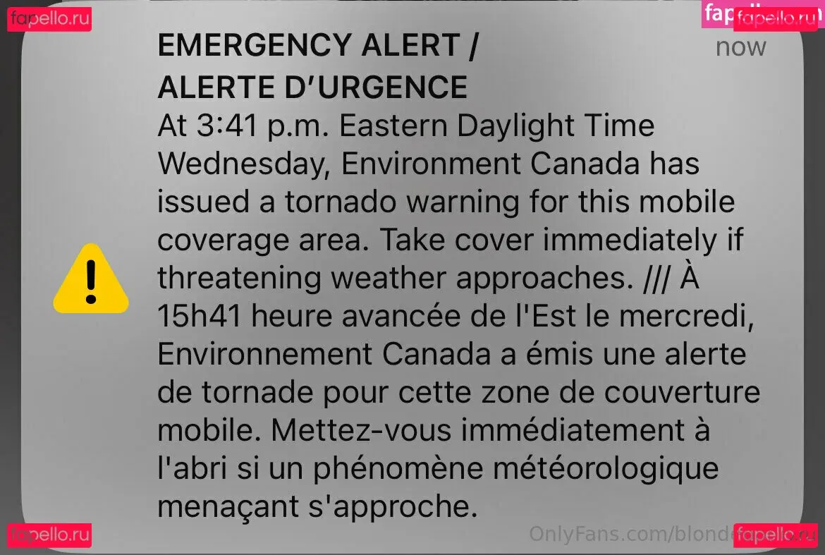 blondebabex2 Onlyfans Photo Gallery 