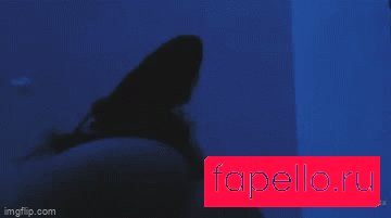 Bellakath Onlyfans Photo Gallery 