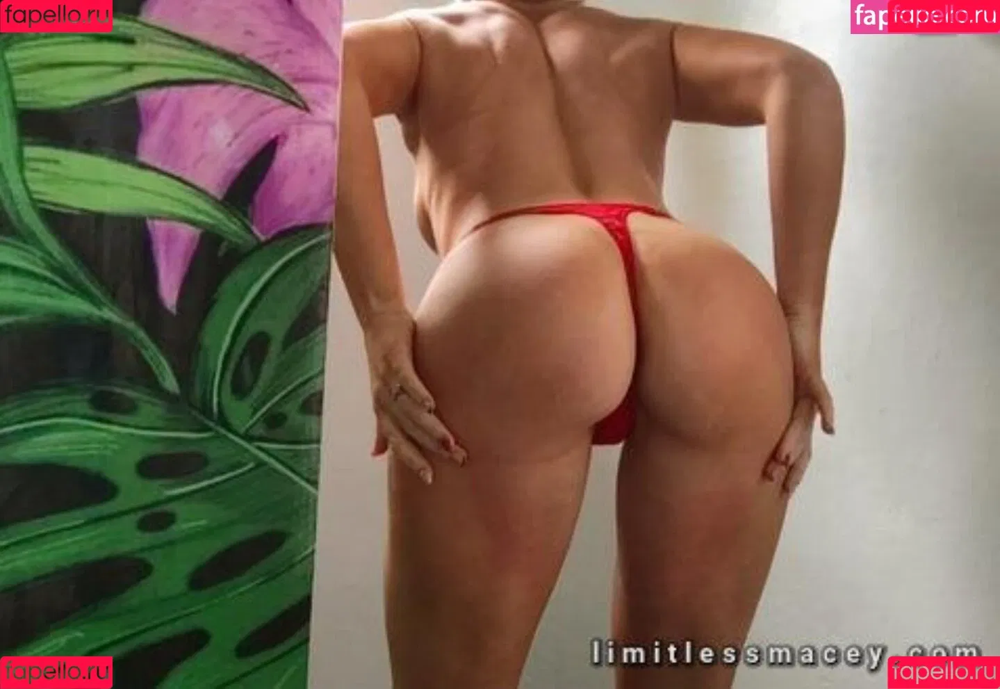 Lacey Evans Onlyfans Photo Gallery 